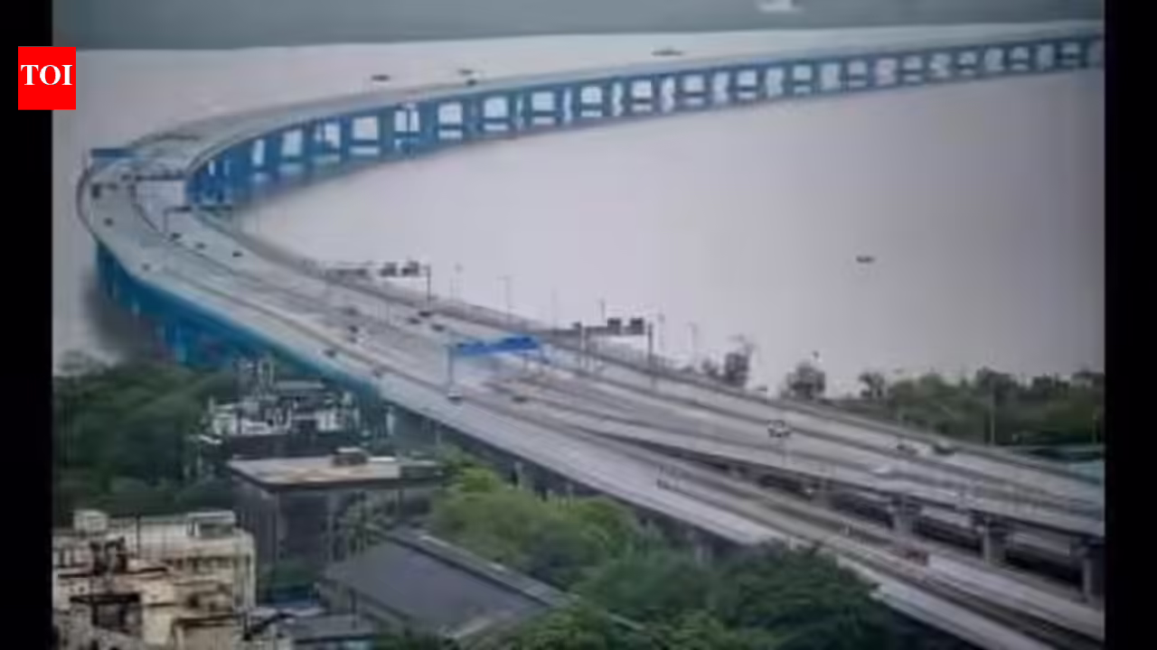 Maharashtra CM to appoint panel to curb suicides on Atal Setu; state plans urgent barricading, stepped-up security on Atal Setu after 15 suicide cases in 3 years | Mumbai News