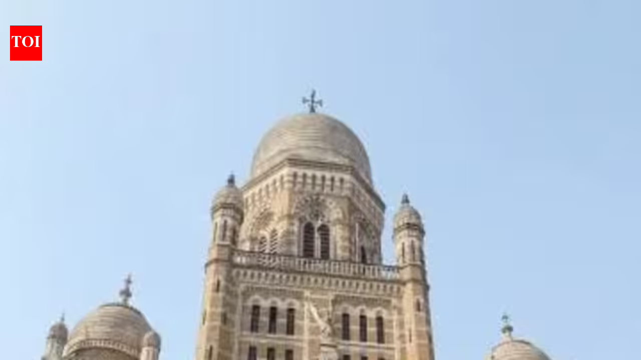 BMC plans Rs 14.7-cr backup power system at Bhandup plant to prevent water cuts | Mumbai News