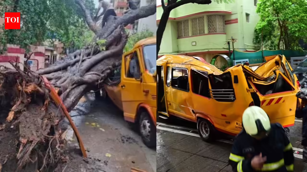 Chembur school bus tragedy: Fallen peepal tree puts 3 key questions before Mumbai’s civic probe | Mumbai News