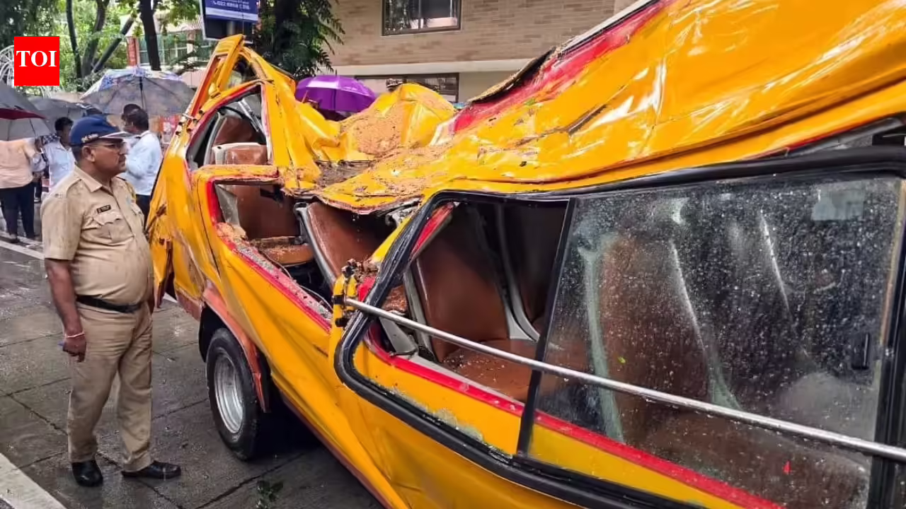 ‘Roots were flagged months ago’: Mayor orders inquiry after tree crushes school van, kills 11-year-old in Mumbai | Mumbai News