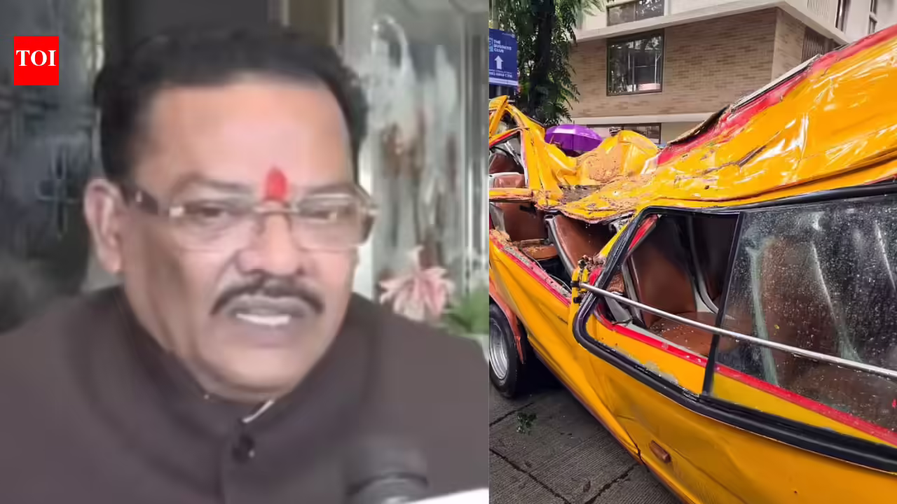 ‘Falling of trees is natural’: Maharashtra minister Sanjay Shirsat’s remark over Mumbai school bus tragedy sparks row | Mumbai News