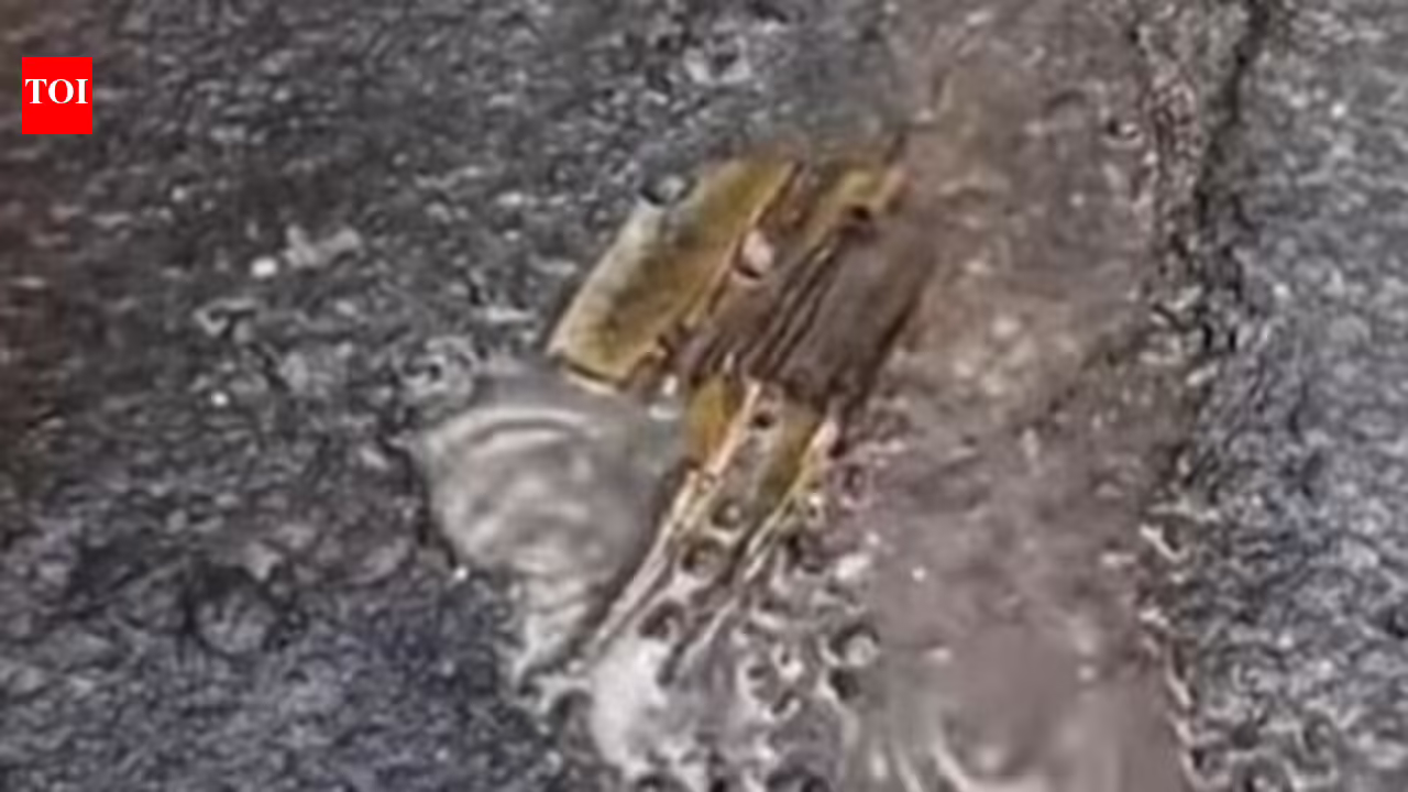 2 college girls wading through flooded Sion-Panvel highway at Nerul suffer electric shocks from exposed live wire | Mumbai News