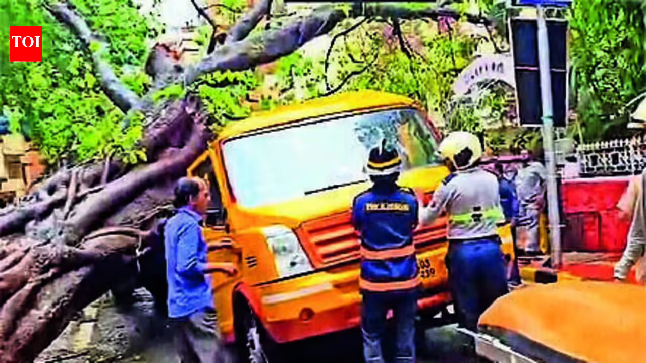 Chembur tree fall: Two boys still admitted, 2 girls discharged | Mumbai News