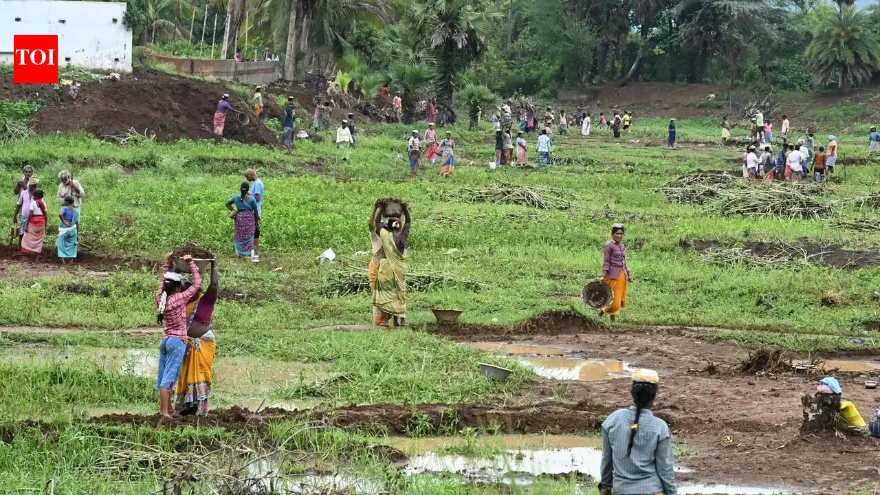 Maharashtra legislative council passes rural employment guarantee bill aligned with Viksit Bharat vision | Mumbai News