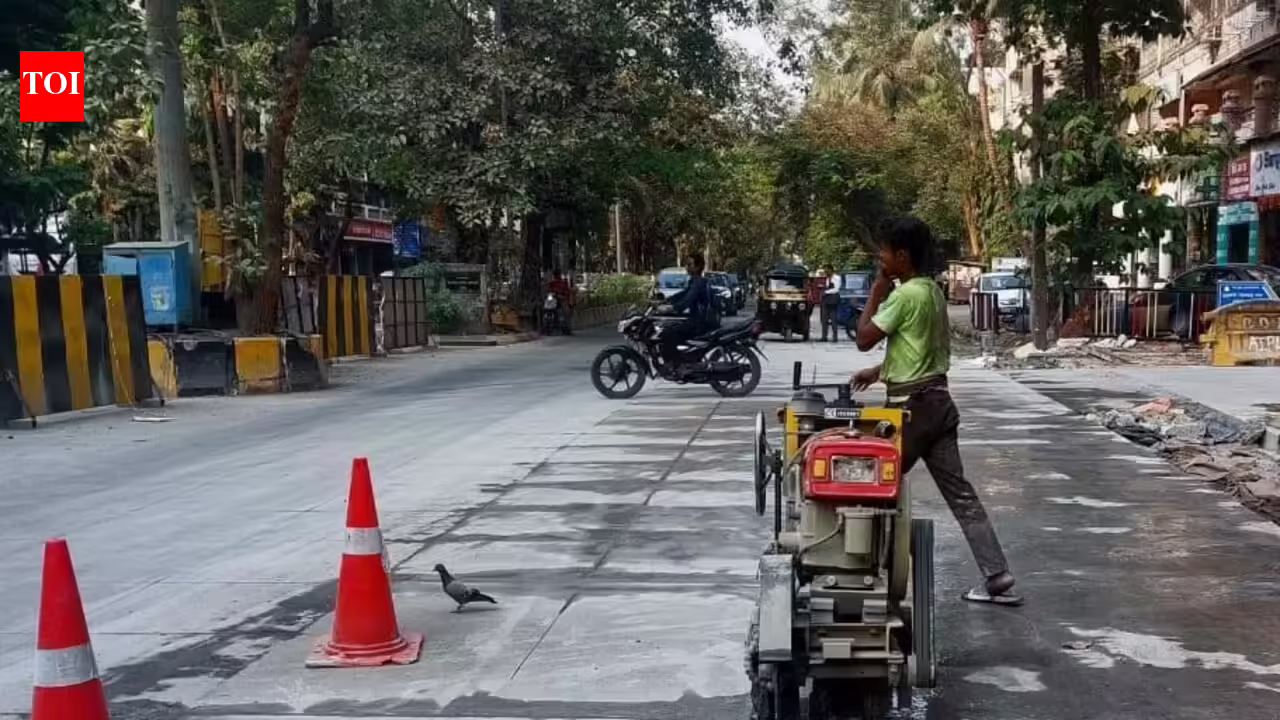 Mumbai legislator seeks expert review of asphalt roads; flags footpath and green cover concerns | Mumbai News