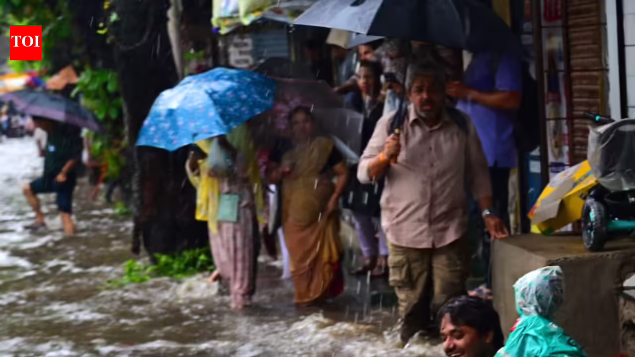 IMD issues orange alert for heavy rain in Mumbai and other districts | Mumbai News