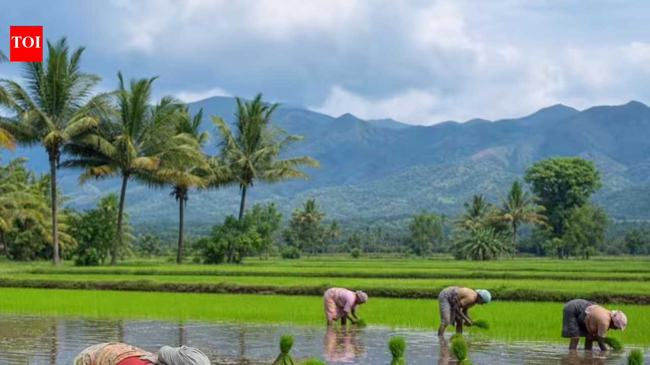 Maharashtra govt approves compensation to those affected by Deharji Medium Irrigation Project | Mumbai News
