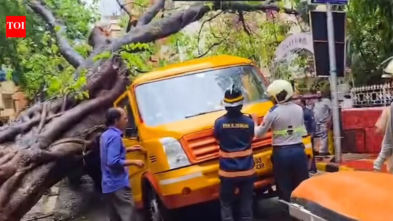 Chembur schoolboy death: BMC had issued tree safety notice to road contractor in March | Mumbai News