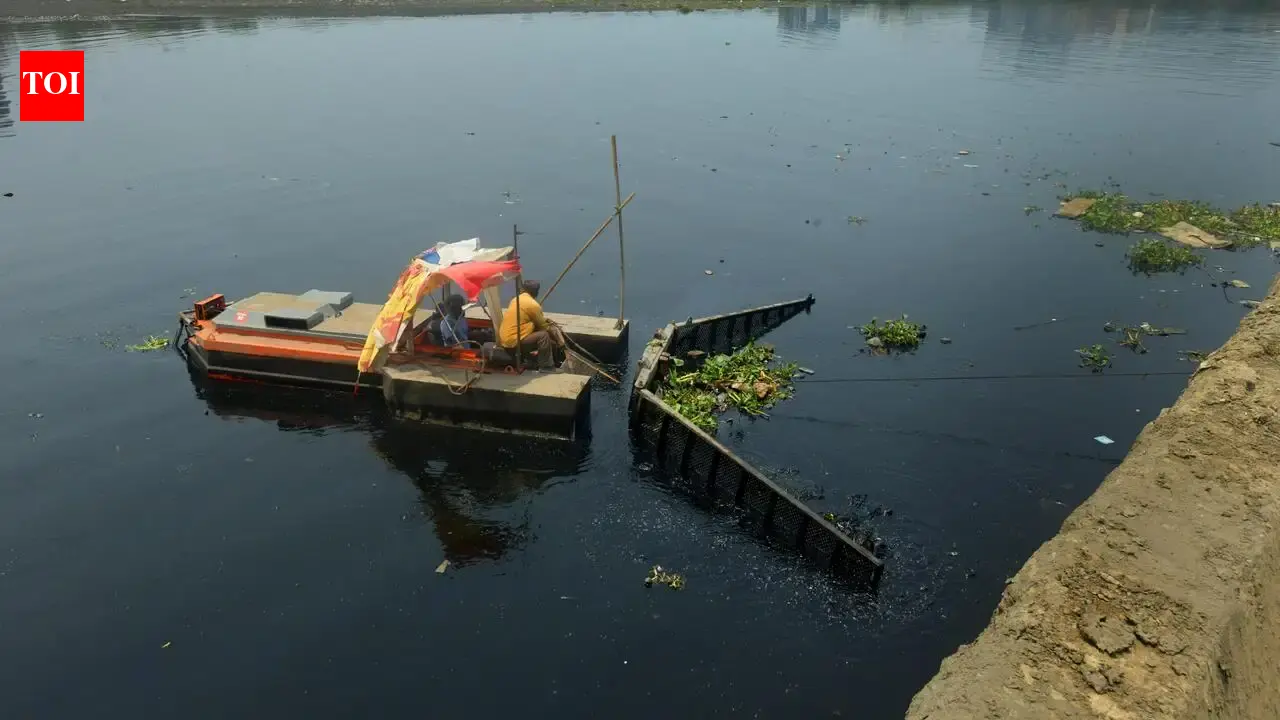 Maharashtra government orders probe into drain desilting works in Vasai-Virar, seeks report in 8 days | Mumbai News