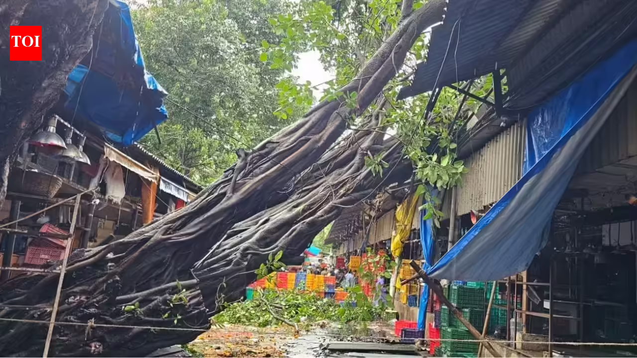Tree crashes onto road near flower market in Mumbai; no injuries reported | Mumbai News