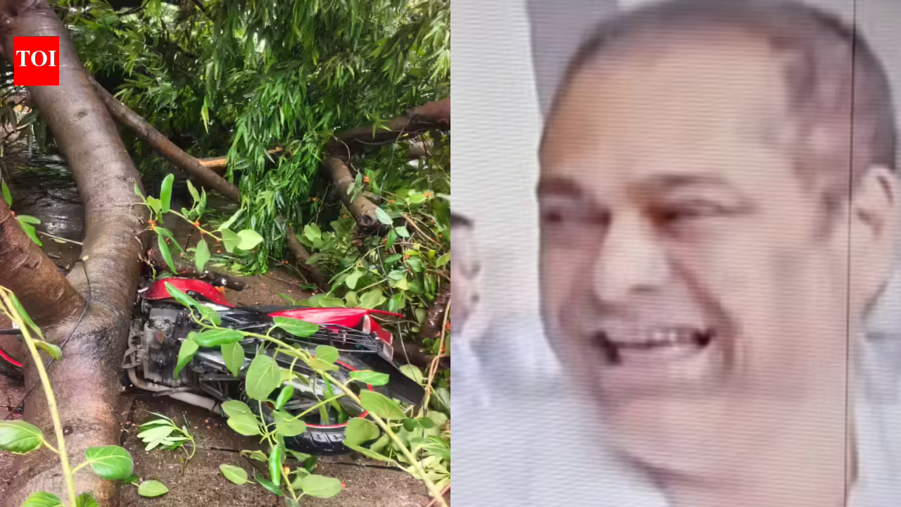 ‘Yesterday tree, today manhole’: Mumbai BJP chief Ameet Satam faces backlash for ‘laughing’ about monsoon deaths in viral video | Mumbai News