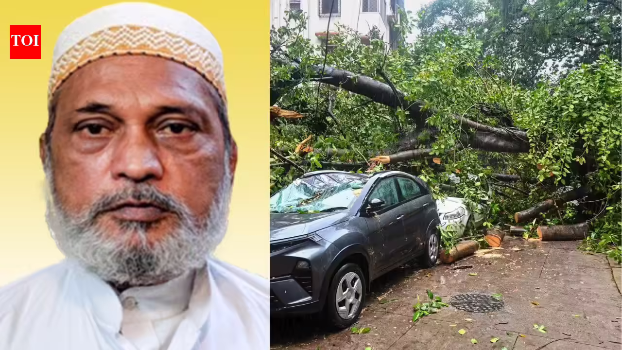 Another rain tragedy in Mumbai: 63-year-old man dies after tree collapses | Mumbai News