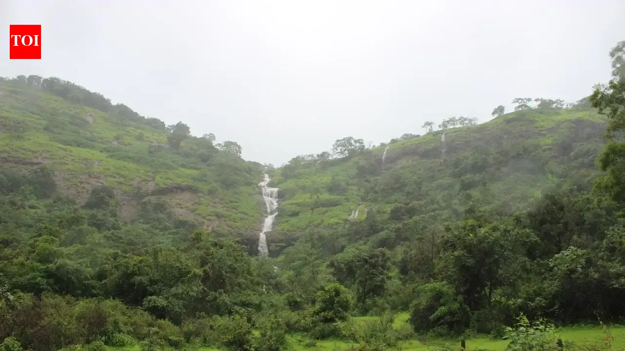 Pandavkada Drownings Renew Call to Revive Shelved Eco-Tourism Plan | Mumbai News