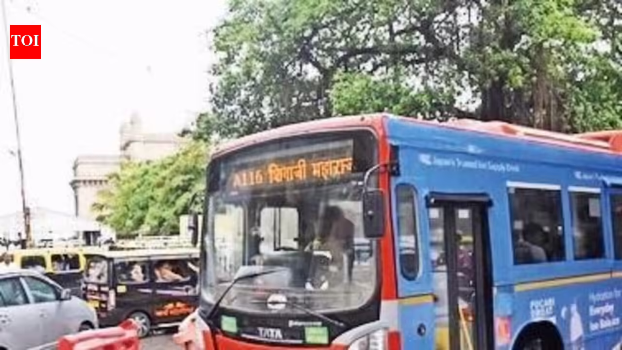 BEST Diverts 43 Bus Routes; Suburban Trains Run Normally Amid Rains | Mumbai News