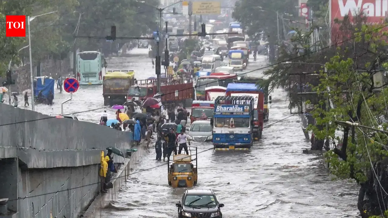 Holiday declared for schools and colleges in Mumbai, Thane, and Navi Mumbai today due to heavy rain alert; Mumbai University postpones exams | Mumbai News