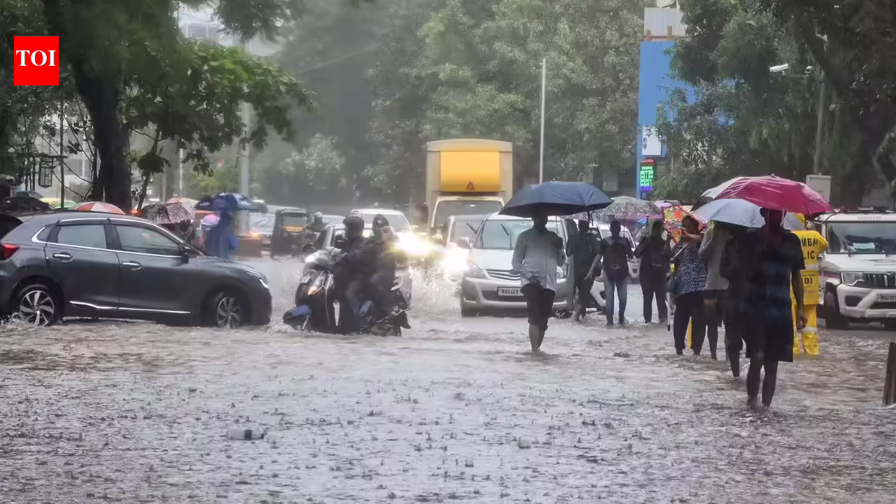 Mumbai monsoon mayhem: Rail services hit, dabbawalas suspend work; WFH advisory issued, 15k personnel deployed amid red alert | Mumbai News