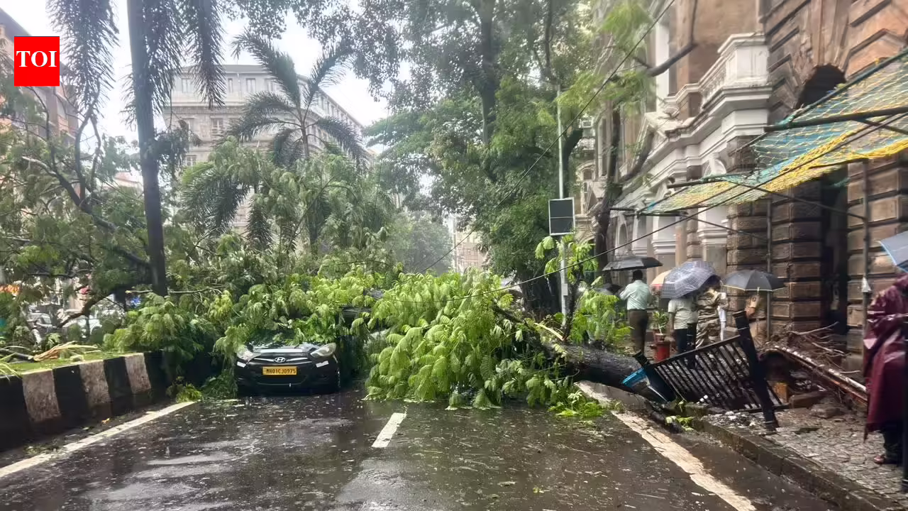 Two injured in tree crashes in Goregaon in separate instances | Mumbai News