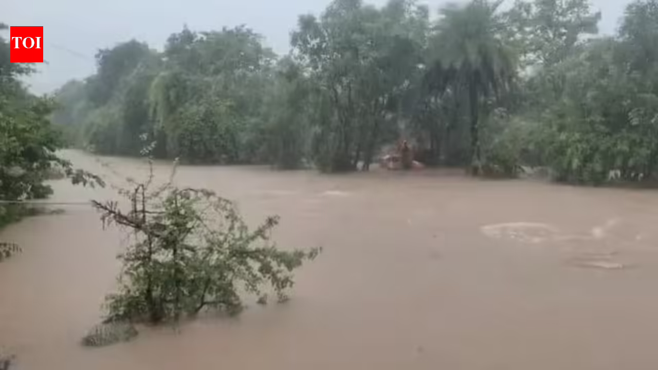 CM: 500 in Palghar being evacuated; 2 dams overflow | Mumbai News