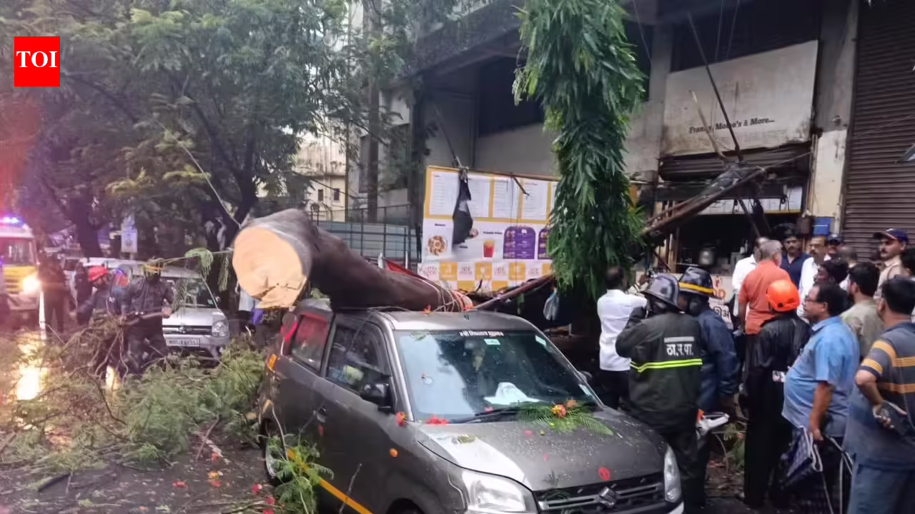 Thane woman suffers serious back injury in a tree crash amid heavy rain | Mumbai News