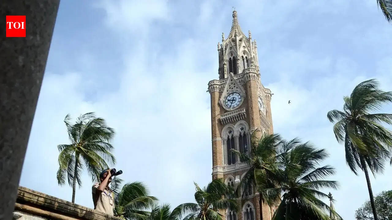 Wrong papers, result errors: Mumbai University fines 51 colleges | Mumbai News