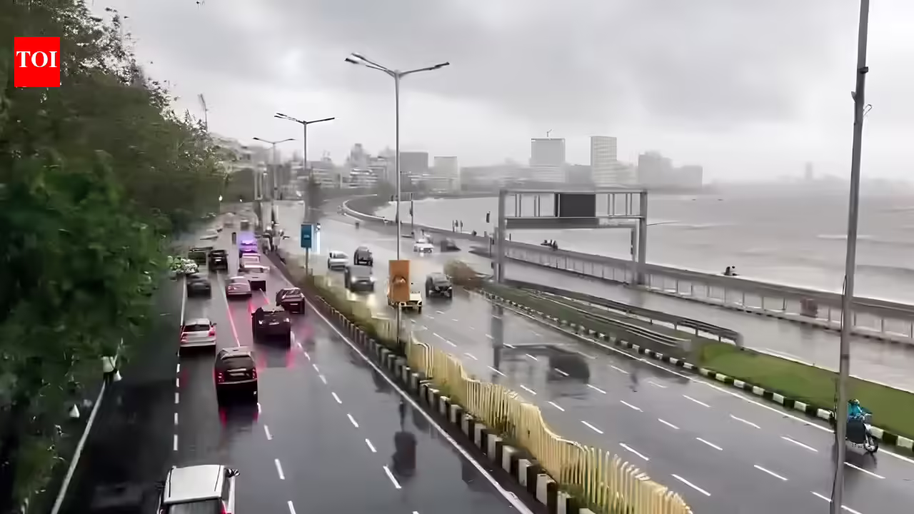 Mumbai gets relief from relentless rain, BEST buses, local trains operate smoothly; IMD warns of heavy rainfall in isolated areas | Mumbai News