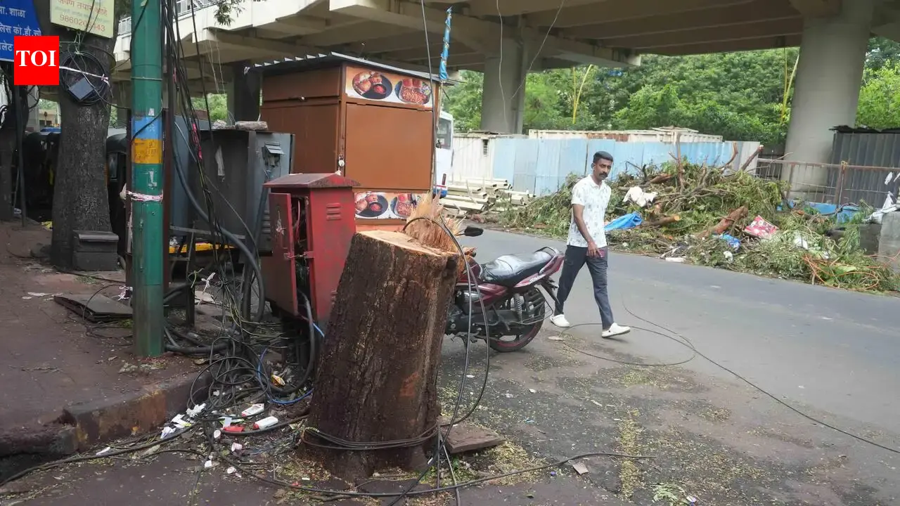 Thane sees 1st tree-crash death as plumber succumbs to injuries after 3 days in ICU; political storm erupts over tree safety | Mumbai News
