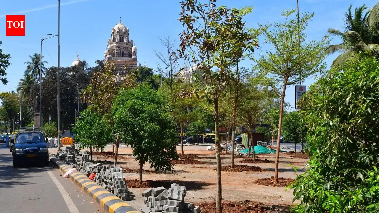 CAG flags major lapses in compensatory afforestation in Maharashtra | Mumbai News