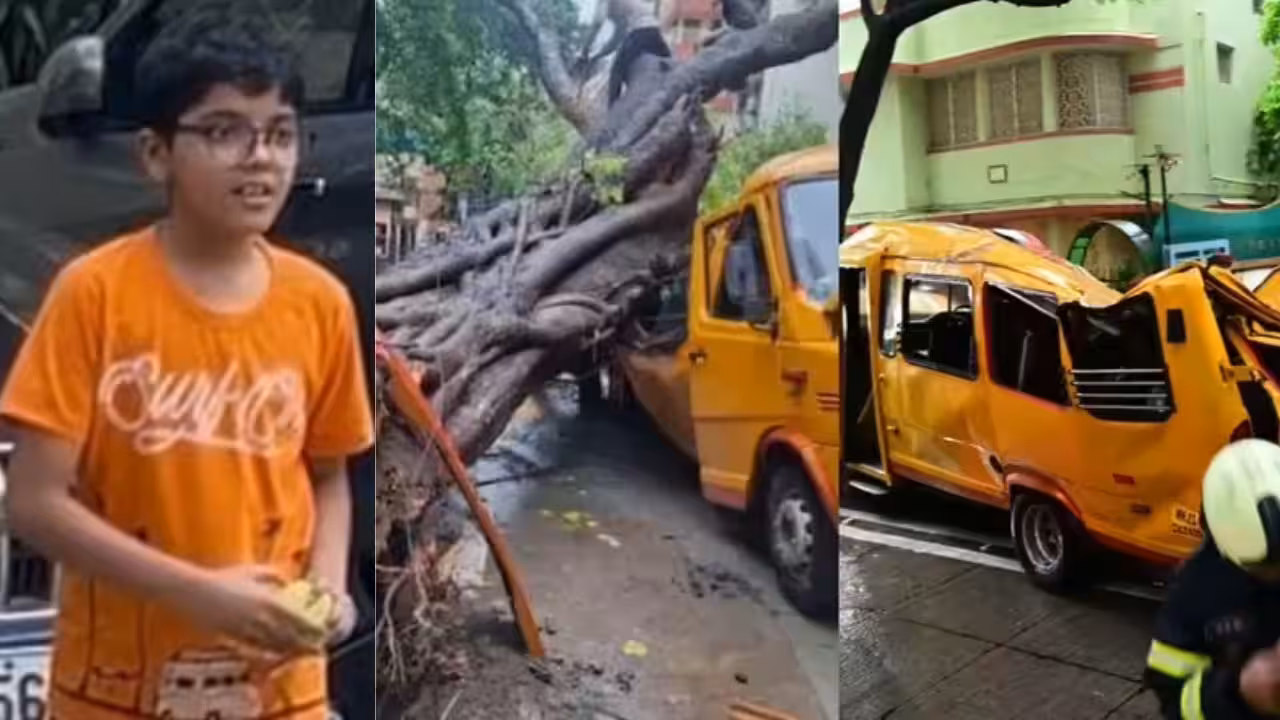 Chembur school bus tragedy: BMC says crash caused by decay and damaged roots of tree | Mumbai News