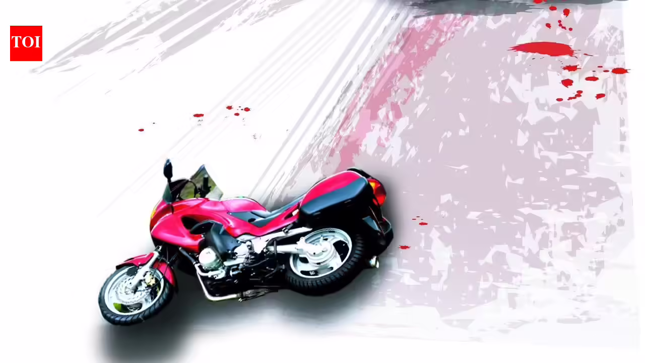 In 2 separate Navi Mumbai mishaps, siblings on bike killed by speeding trailer on JNPT road and pedestrian killed in hit-and-run by private bus on Goa highway | Mumbai News