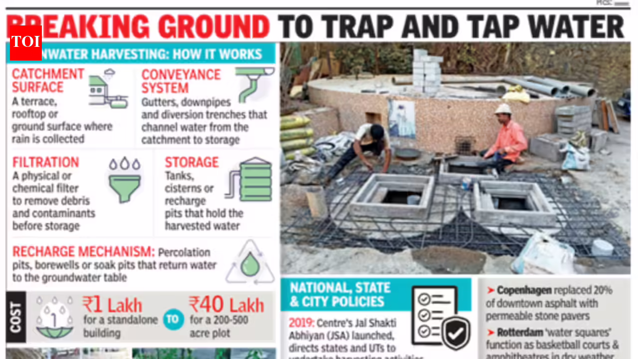 Harvest rainwater to mitigate floods: Greens want Mumbaikars to soak in idea | Mumbai News