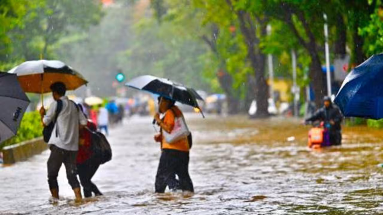 Warm, humid weather returns as rains take a break in Mumbai, lake levels remain unchanged | Mumbai News