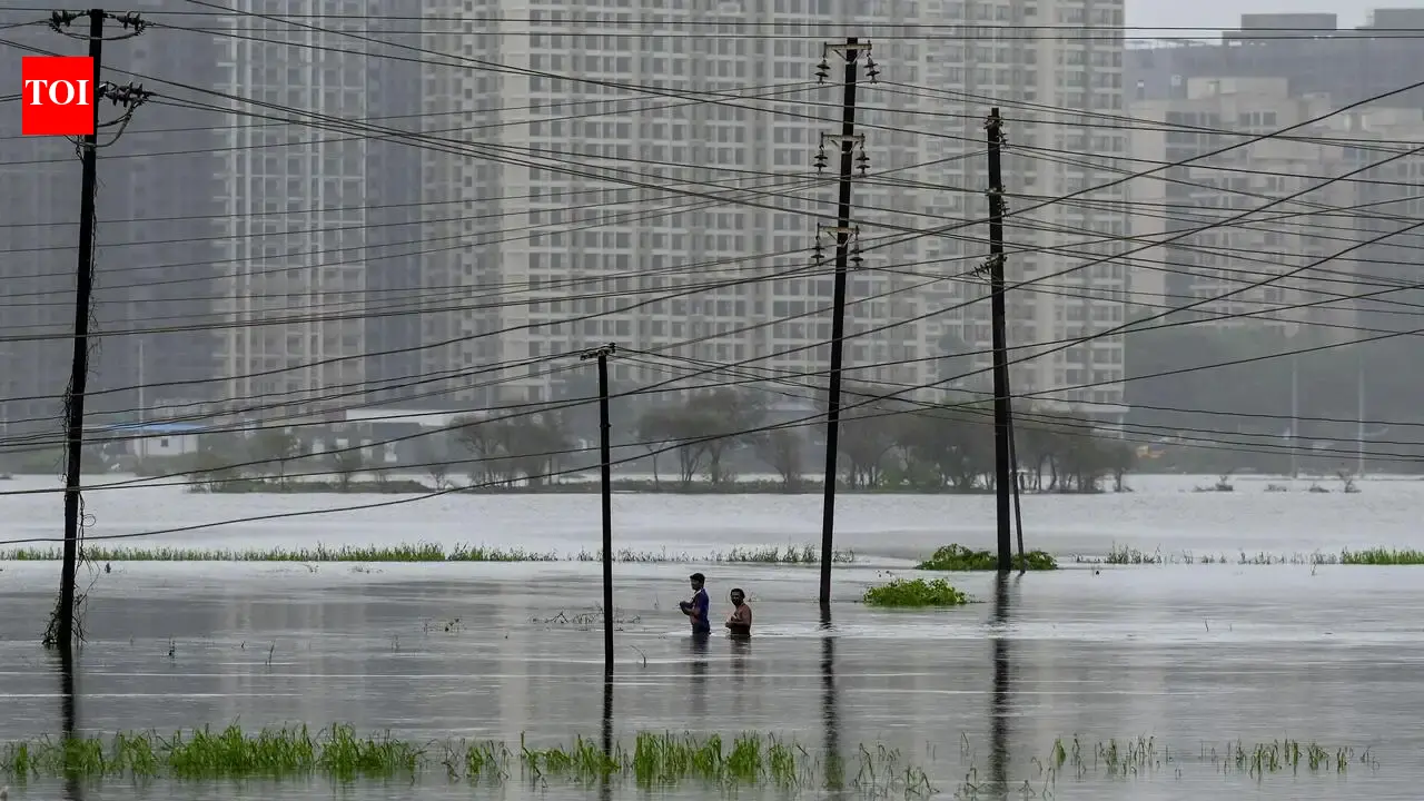 5 more bodies found, Vasai-Virar monsoon toll climbs to 10 | Mumbai News