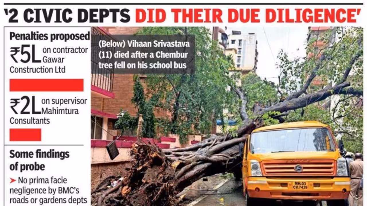 Chembur tree fall death: Panel gives clean chit to BMC depts, proposes Rs 7L fine on drain work contractor, consultant | Mumbai News