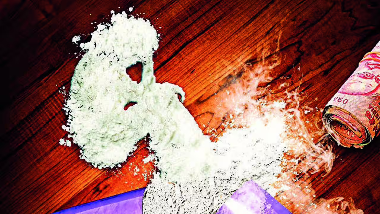 Toxicology report confirms MDMA, alcohol in Worli music concert death | Mumbai News