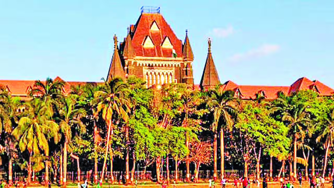 One day people will carry oxygen cylinders, says Bombay high court hearing petition to fell mangroves to lay transmission line for Mumbai-Ahmedabad bullet train | Mumbai News