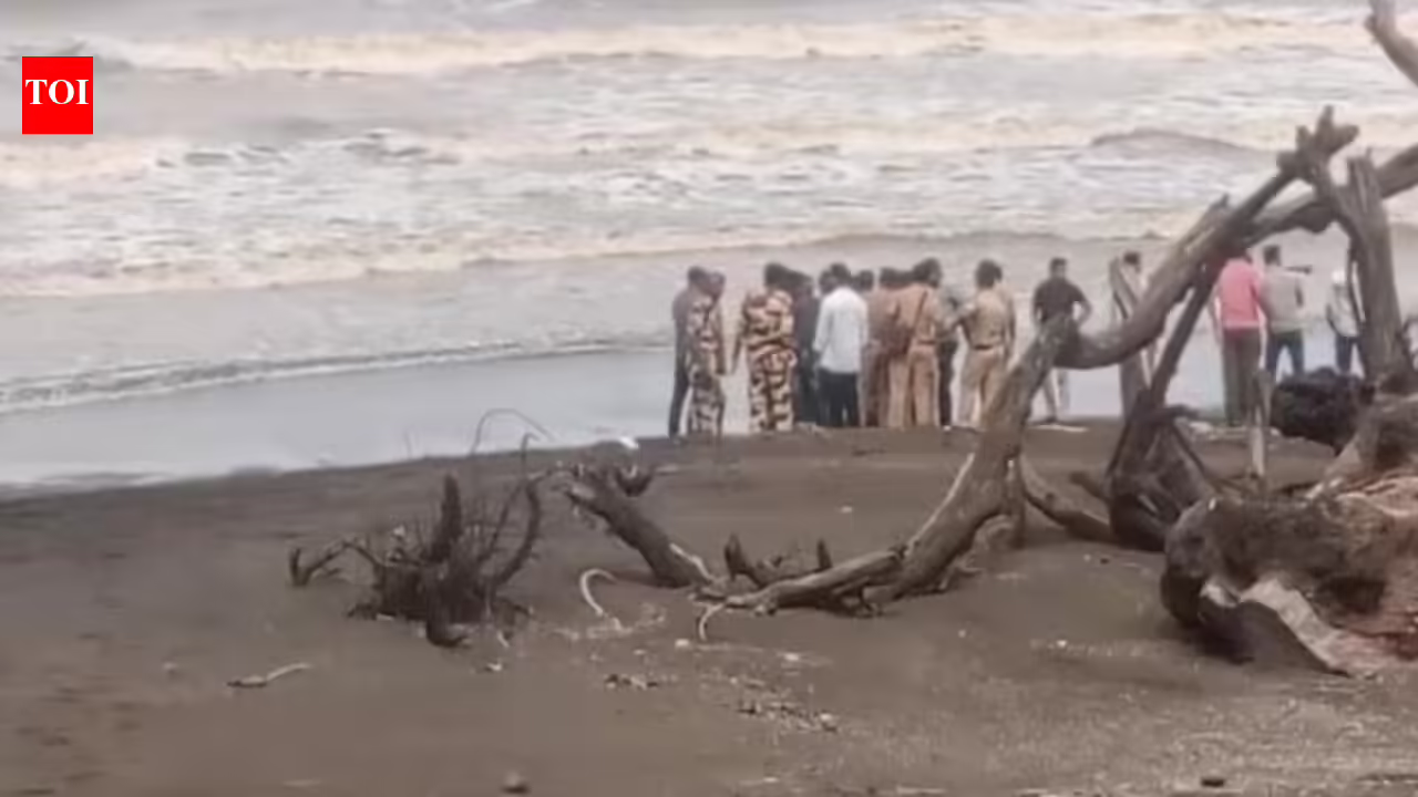 Two youths swept away at Arnala beach in Maharashtra; search on | Mumbai News