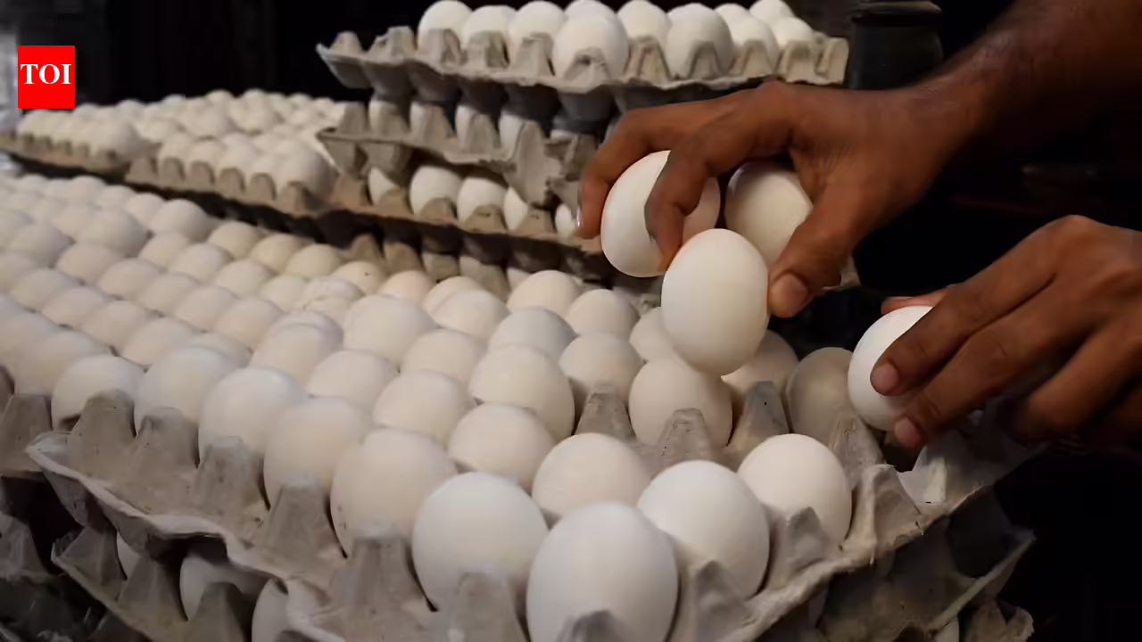 Wholesale egg prices touch record Rs 780/100 pieces, retail hits all-time high of Rs 120 per dozen in Mumbai | Mumbai News