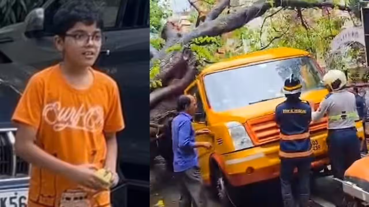 ‘Findings failed to fix accountability’: Mumbai mayor Ritu Tawde rejects BMC report on Chembur tree crash that killed 11-year-old | Mumbai News