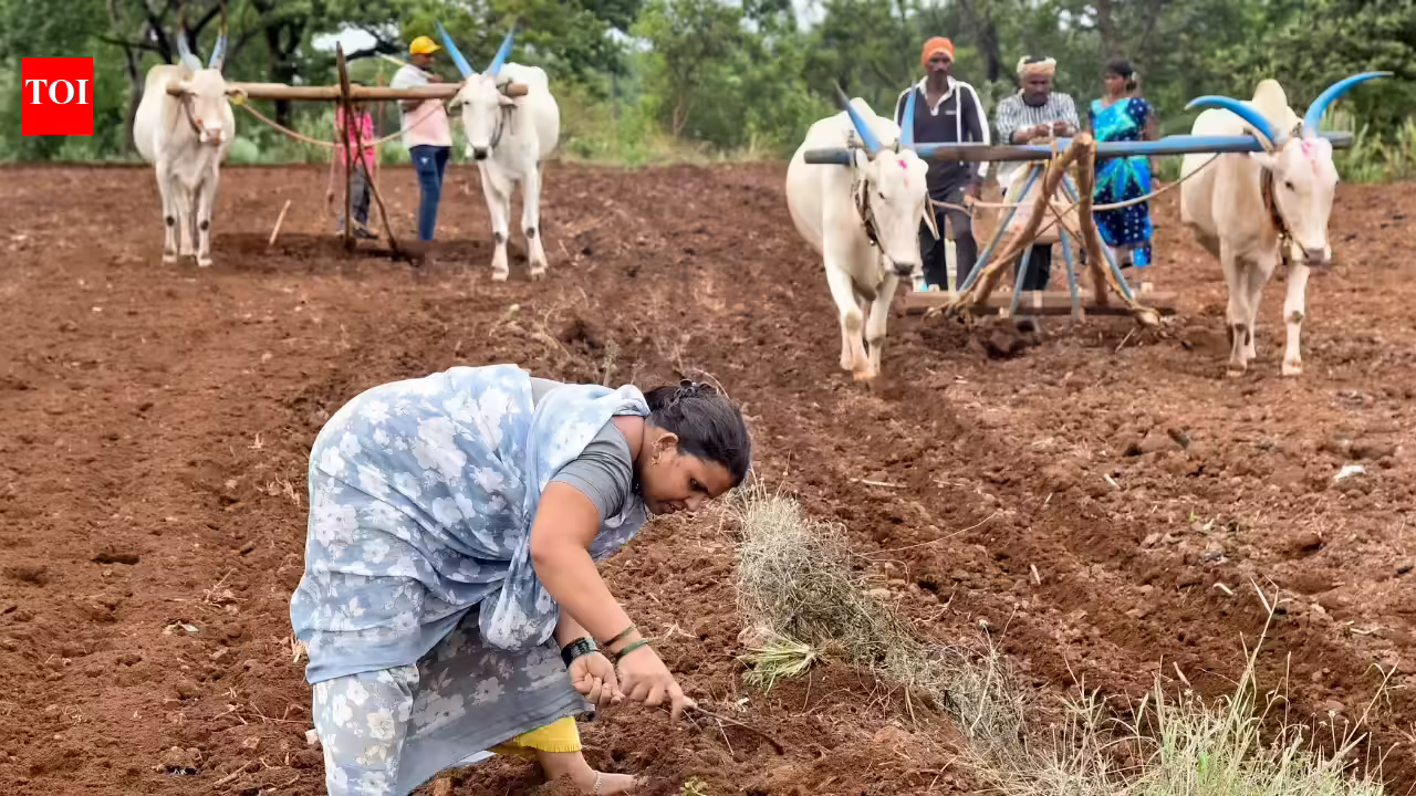 Adhik Jyeshtha, Super El Niño combo may delay Maharashtra monsoon, analysis flags higher rain deficit risk | Mumbai News