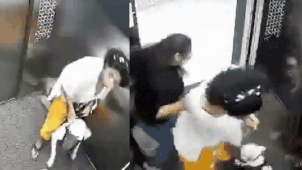 Dog turns aggressive, lunges at girls inside lift in Mumbai building; CCTV shows owner struggling to restrain pet | Mumbai News