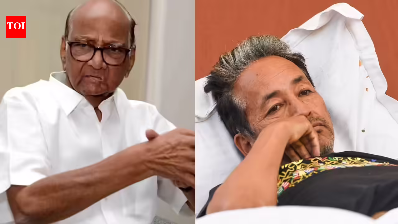 Sharad Pawar backs Sonam Wangchuk protest, says Centre ‘acting as a spectator’ | Mumbai News