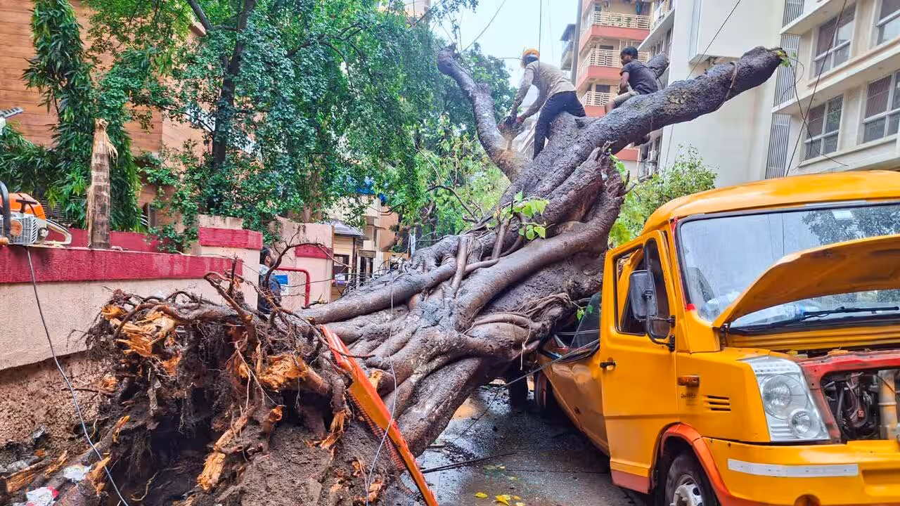 500 people join MNS protest over fatal Chembur tree crash | Mumbai News