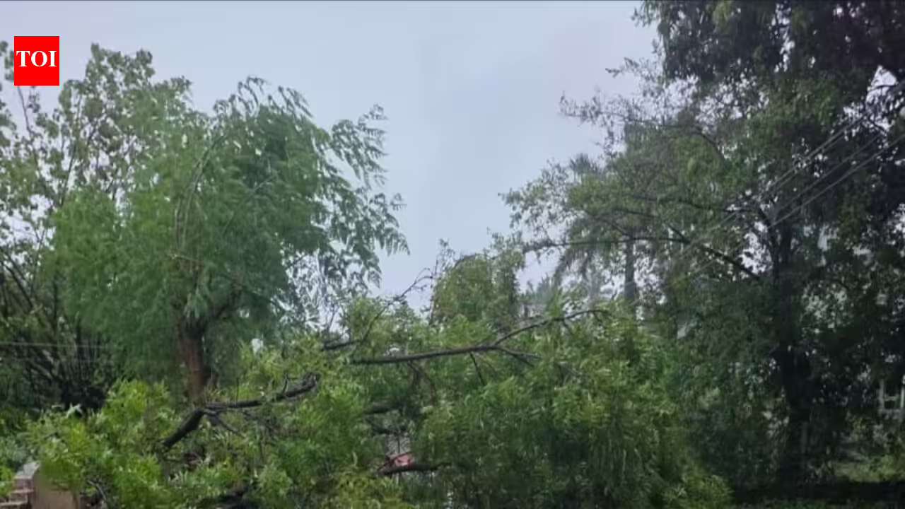Rain batters Palghar; over 200 villages cut off, one dead, 891 people evacuated | Mumbai News