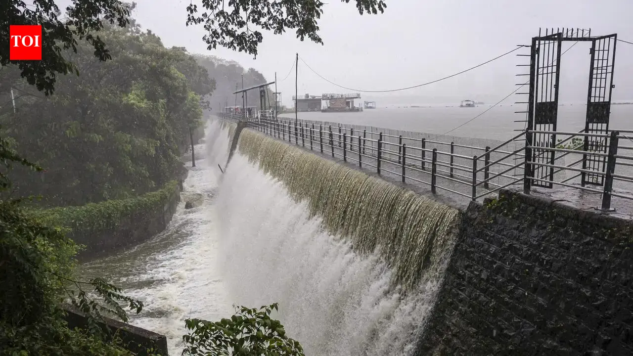 Mumbai teen drowns in Powai lake, search operation underway | Mumbai News