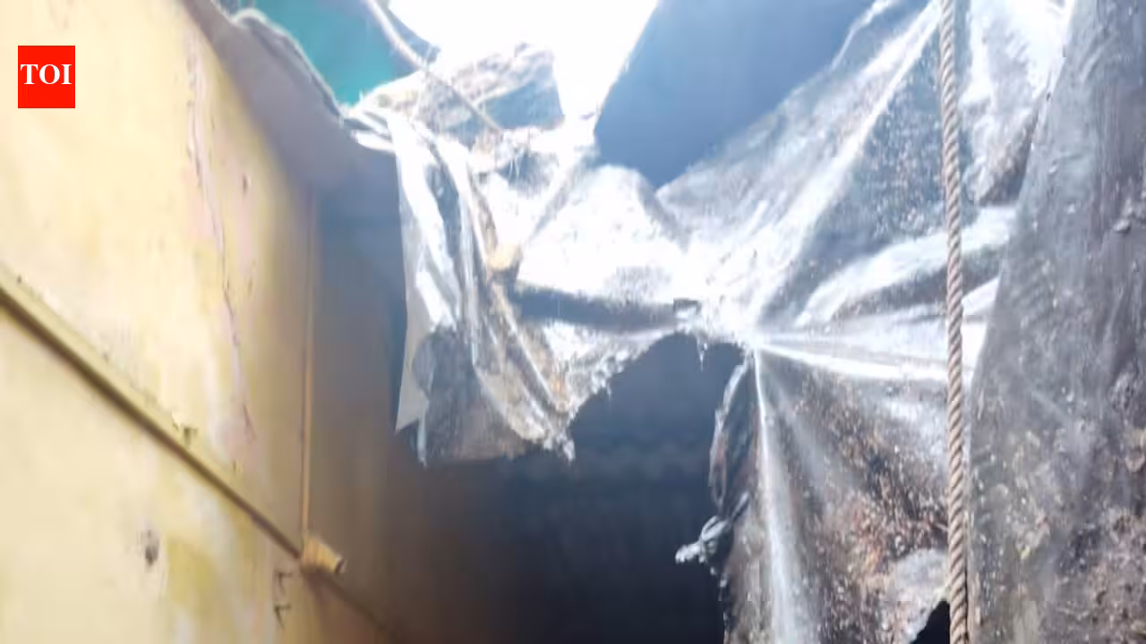 Contract worker killed while clearing fallen tree in Maharashtra | Mumbai News