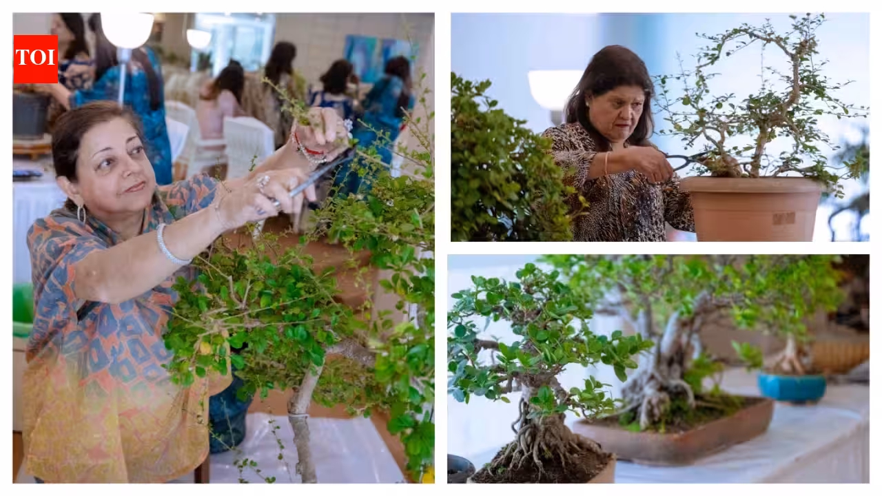 Rooted in patience: How Mumbai’s bonsai lovers find stillness together | Mumbai News
