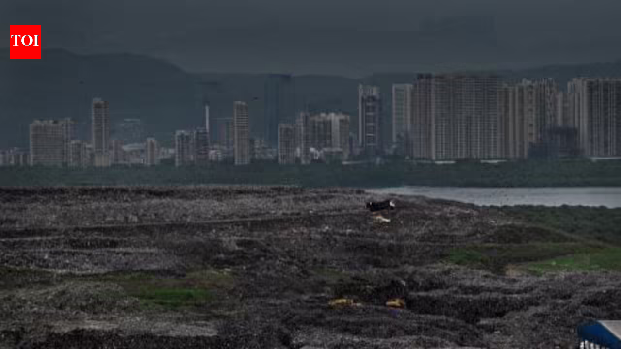 Submit compliance report on Kanjurmarg dump odour to MPCB in 15 days and adopt urgent measures for a garbage-free Mumbai: Bombay High Court to BMC | Mumbai News