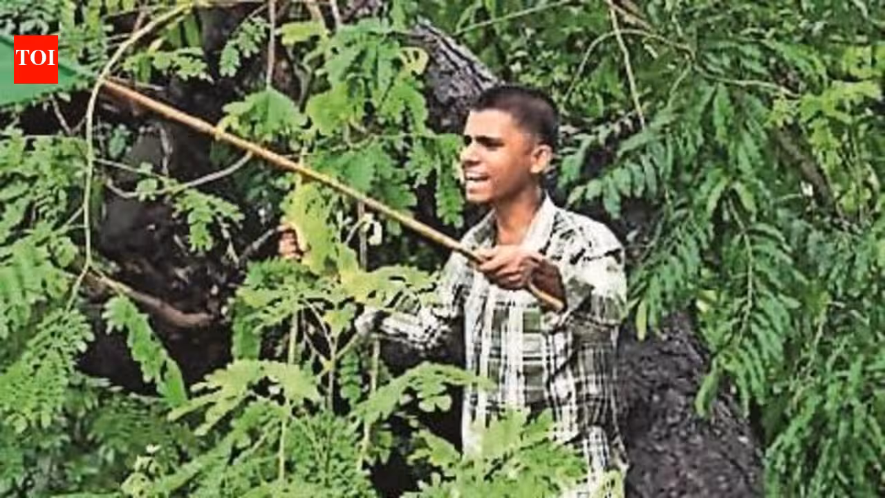 Euphoric in victory, youth flag policy fatigue, E20 rule; Mumbai student groups plan coalition | Mumbai News