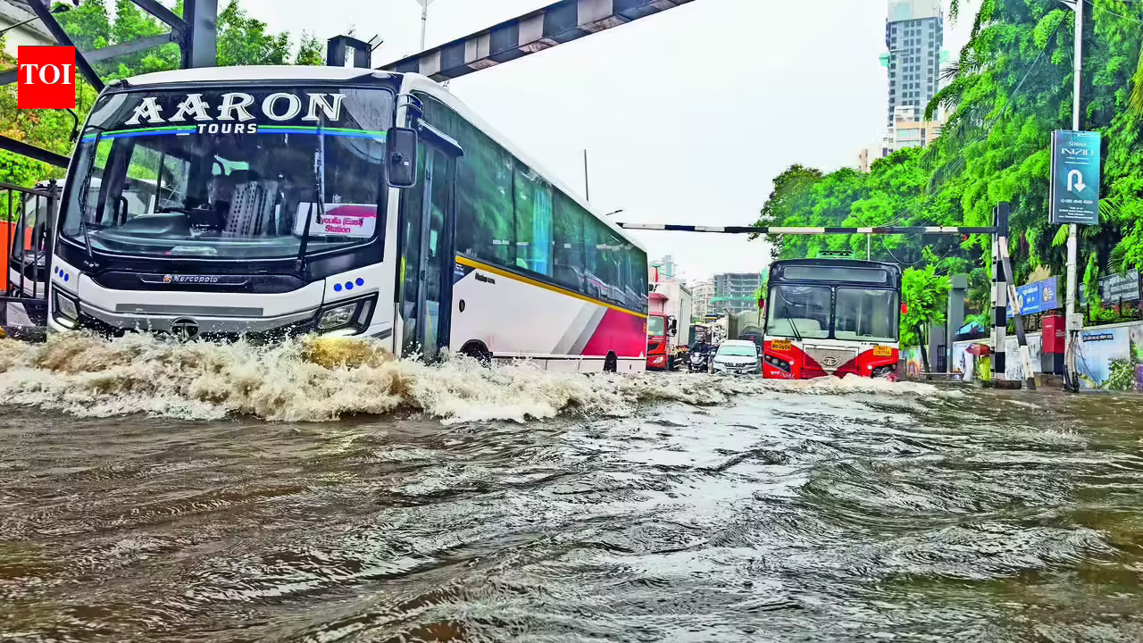 Dahanu-Bordi road restored in two days after heavy rains wash away stretch | Mumbai News