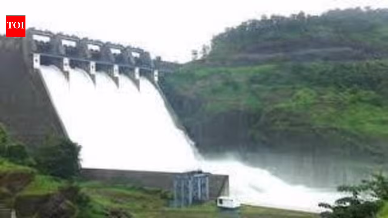 BMC opens Middle Vaitarna dam gates as lake level rises; Mumbai’s water stock touches 88% | Mumbai News